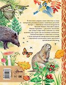Рассказы и сказки о природе - 1
