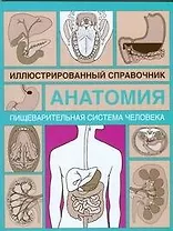 Анатомия.Пищеварительная система человека: Иллюстрированный справочник