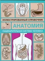 Анатомия.Пищеварительная система человека: Иллюстрированный справочник