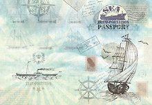 Феникс Презент Обложка для паспорта ПВХ 13,3*19,1см 32402