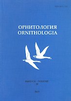 Орнитология. Выпуск 38