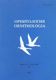 Орнитология. Выпуск 38