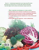 365 рецептов блюд из капусты. - 1