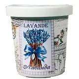 Набор для выращивания Лаванда (X1497)
