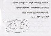 Забавные животные - 2