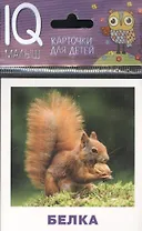 Умный малыш. Кто живёт в лесу? Набор карточек для детей.