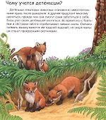 Мамы и малыши (с волшебными окошками) - 1