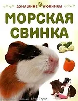 Морская свинка / (мягк) (Домашние любимцы). Рейнер М. (Аст-Пресс)