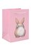Пакет А5 15*19,5*10 "Bunnies" дет., бум.мат., ассорти - 0