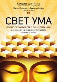Свет ума. Подробный путеводитель по медитации