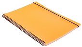 Тетрадь общая «Favorite Color. Neon Orange», 80 листов в клетку, А4 - Listoff - 1