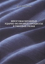 Многомасштабные ударно-волновые процессы в твердых телах