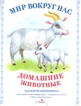 Домашние животные.Дид.материал