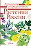 Растения России - 0