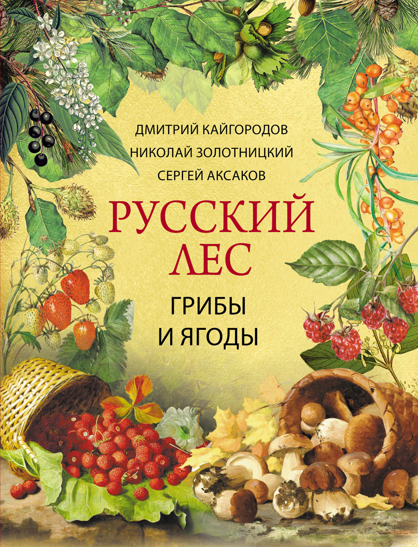 Обложка книги «Русский лес. Грибы и ягоды»