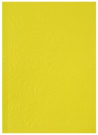 Записная книжка «Монстеры» А6, 96 листов в линейку, Феникс+