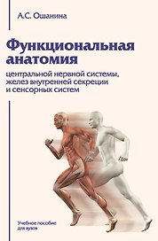 Функциональная анатомия центральной нервной системы, желез внутренней секреции и сенсорных систем: Учебное пособие для вузов