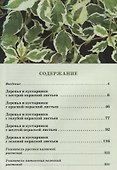 Атлас декоративных деревьев и кустарников - 1