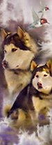 Закладка 3D (00119) (Мир открытий)