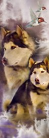 Закладка 3D (00119) (Мир открытий)
