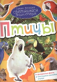 Птицы