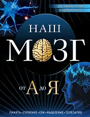 Наш мозг от А до Я