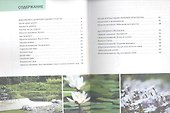 Наш сад.Кн.19.Ландшафтный дизайн.Иллюстр.справочник - 1