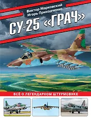 Су-25 «Грач». Все о легендарном штурмовике