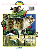 Родничок. Книга для внеклассного чтения в 1 классе - 1