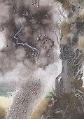 Волшебник и Мышка - 2