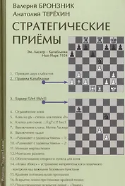 Стратегические приемы (+2 изд) Бронзник