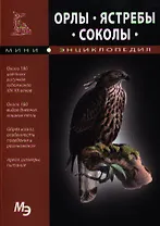 Орлы ястребы соколы МЭ
