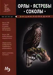 Орлы ястребы соколы МЭ