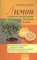 Лимоны и другие цитрусовые растения в доме