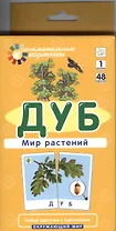 Дуб. Мир растений. Окружающий мир. Игра развивающая и обучающая. Для детей от 5 лет