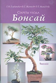 Бонсай Секреты ухода