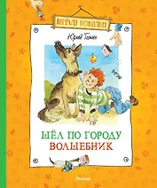 Шёл по городу волшебник