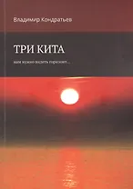 Три кита. Нам нужно видеть горизонт...