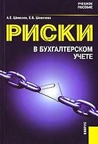 Риски в бухгалтерском учете: Учебное пособие
