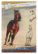 Набор для творчества Скетчбук А4,100л Лошадь на песке книжн., 7БЦ, глянц. лам. 100-3332