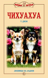 Чихуахуа. Любимцы на ладони