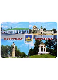 Магнит Кострома Коллаж-герб (винил)