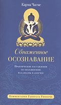 Обнажённое осознавание. Практические наставления по объединению махамудры и дзогчен
