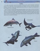 Подводный мир. Энциклопедия - 2