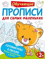 Готовим руку к письму: рисуем по клеточкам и точкам