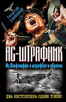 Ас-штрафник. Из Люфтваффе в штрафбат и обратно