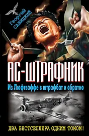 Ас-штрафник. Из Люфтваффе в штрафбат и обратно