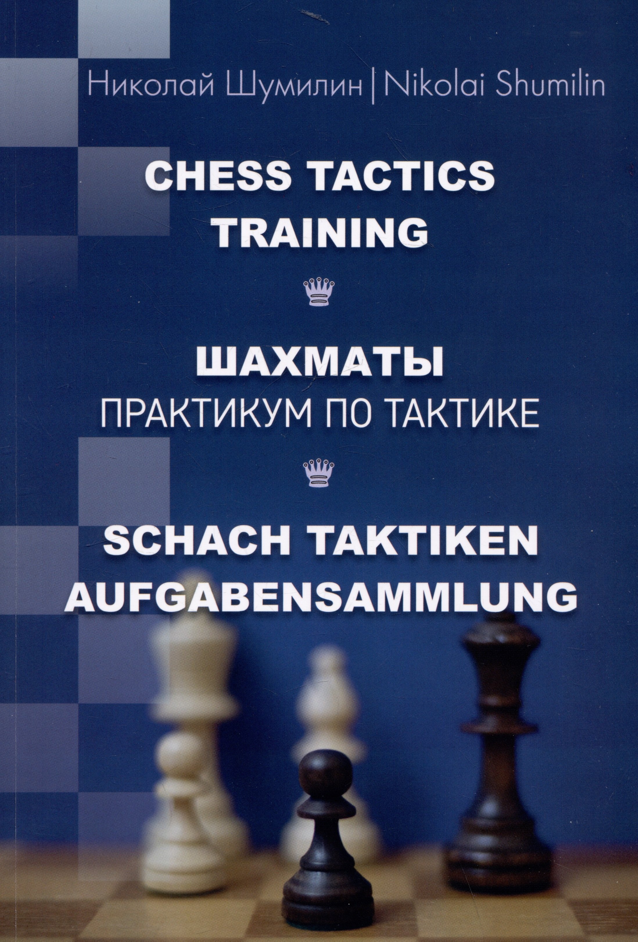 

Шахматы. Практикум по тактике