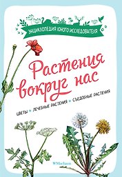 Растения вокруг нас