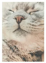 Ежедневник недатированный А5 128 листов, "Расслабься", ламинация Soft Touch